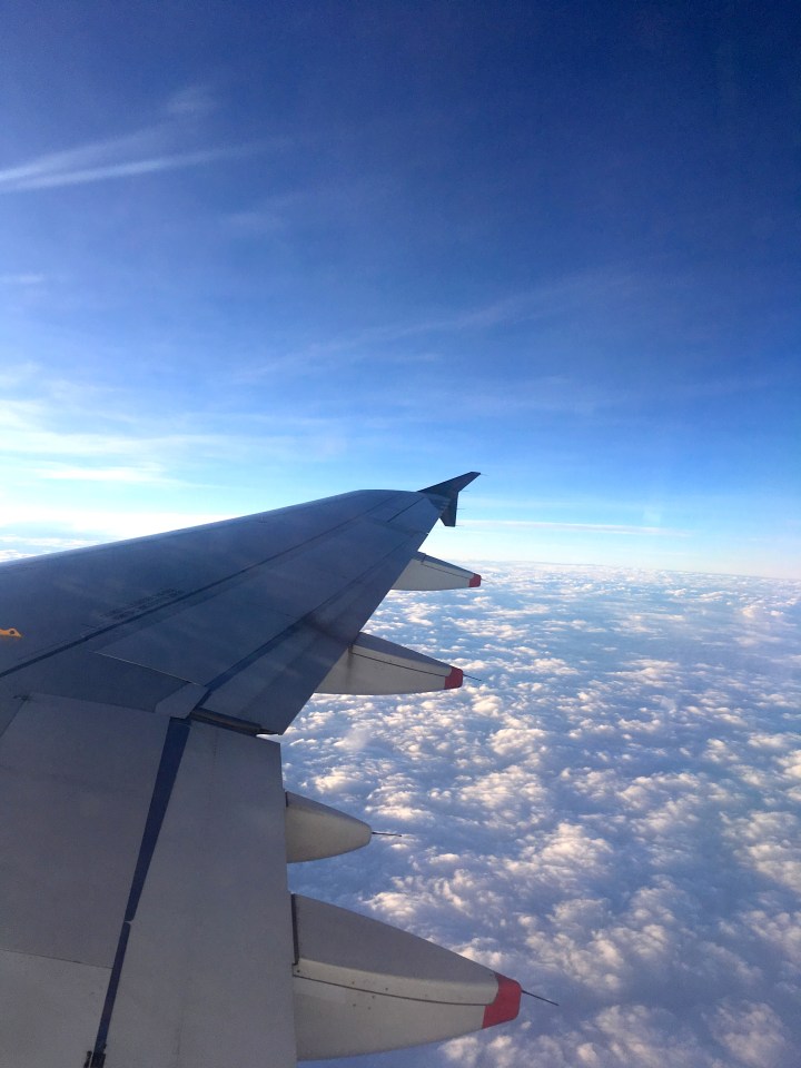 3 mois en nouvelle zélande 3